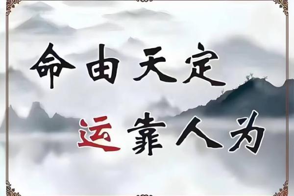 伟人八字