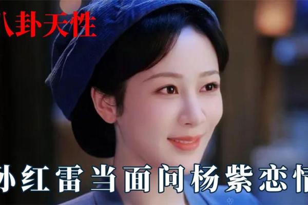 娱乐圈紫薇星