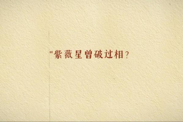 娱乐圈紫薇星