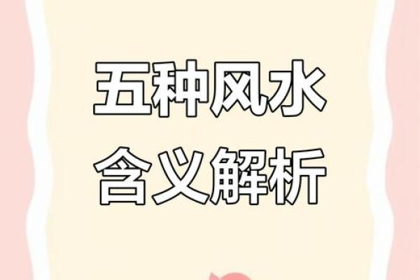 风水聚财术，学会了财运不用愁