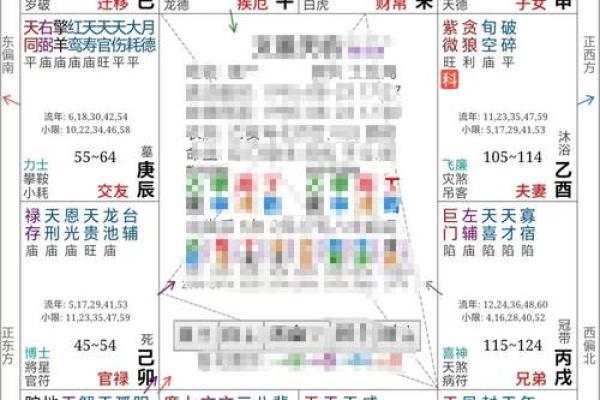 紫薇斗数生命密码
