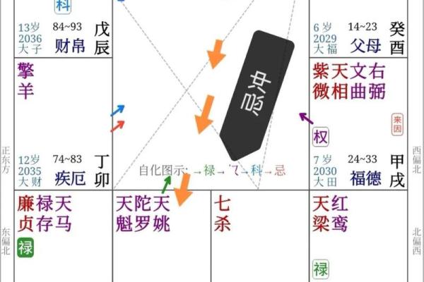 紫薇斗数流年看外出