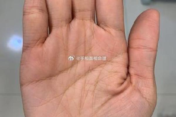 风水手相事业线止于感情线女人会有什么影响