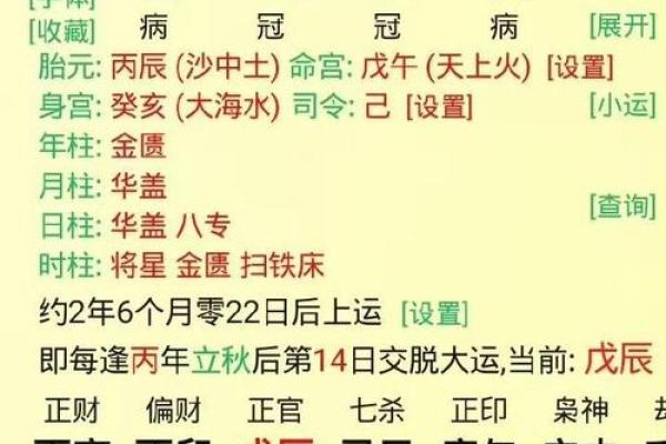 八字丁酉