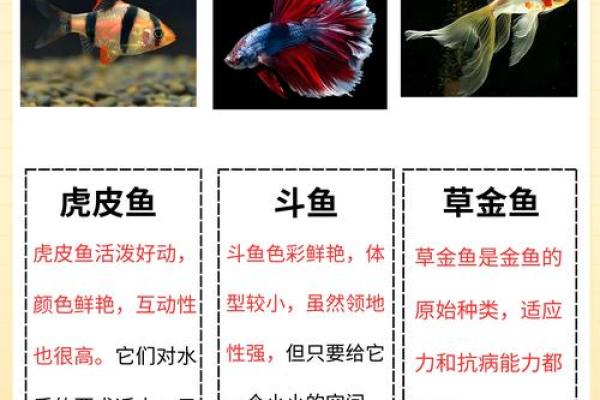 养鱼风水的忌讳有哪些呢