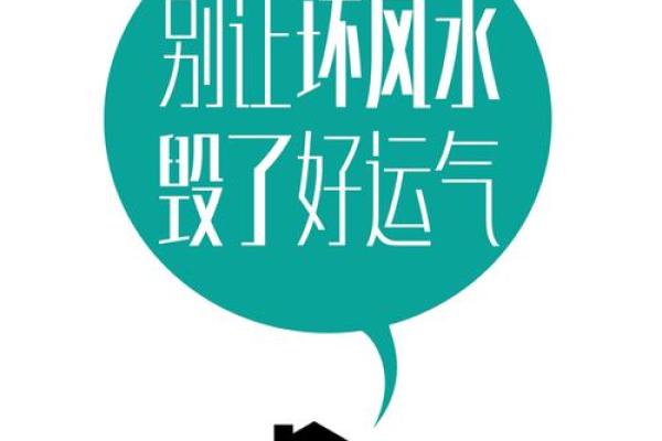 餐桌开运风水，懂的人早用上了