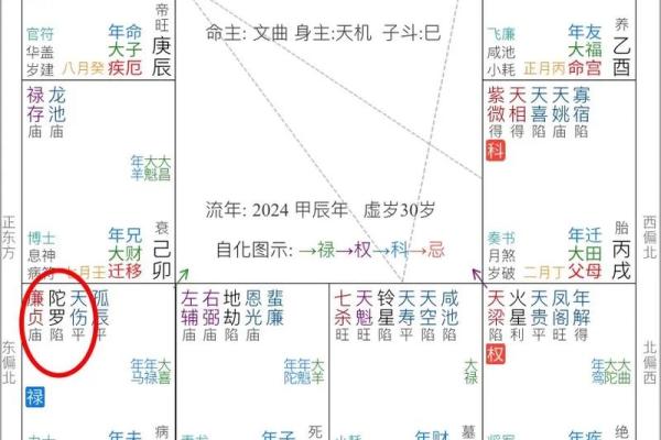 紫薇斗数夫妻宫的对宫