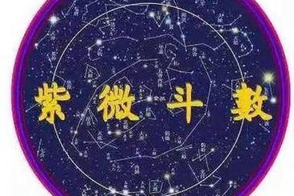 紫薇斗数安星排法