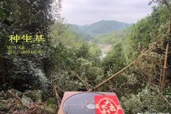 犀牛望月风水宝地