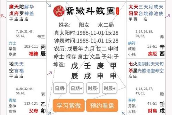 《紫微斗数》命盘解析可以运用哪些领域？