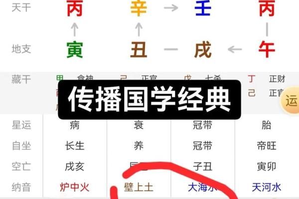 南方周易排八字 南方周易排八字APP