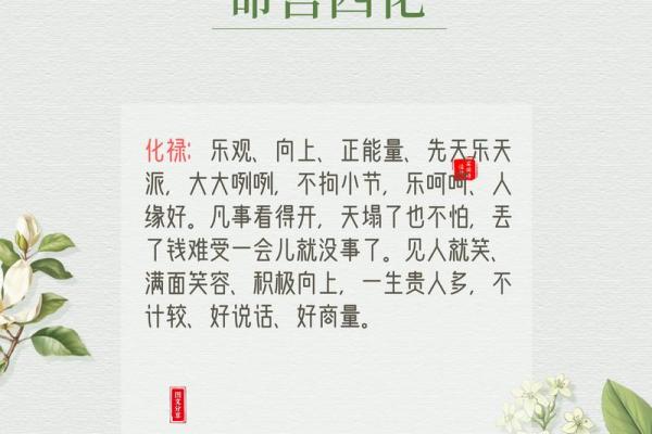 紫薇斗数无命格
