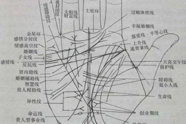 AI看面相 免费看手相，淘宝、朋友圈和微博上的算命先生到底有多野？