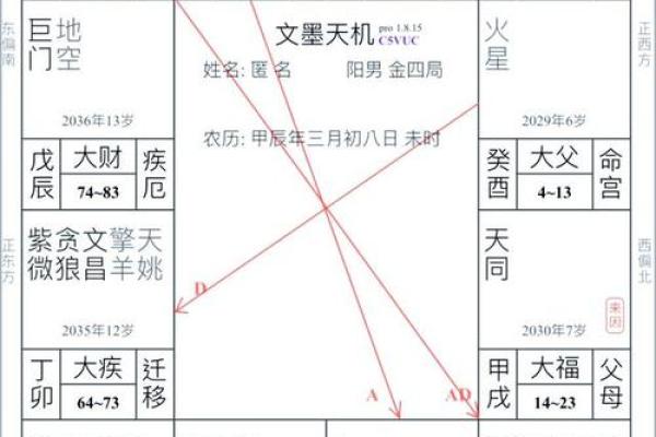 紫薇斗数命盘在线排盘算命