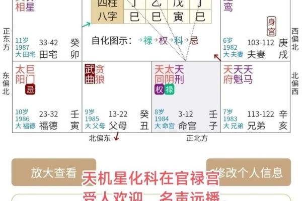 紫微斗数引出禄 紫薇命盘禄是什么意思？
