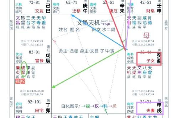 紫微斗数引出禄 紫薇命盘禄是什么意思？