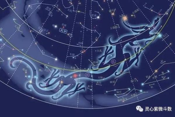 紫薇斗数飞入星