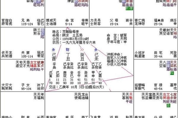 紫微斗数诸星落诸宫之：天府星官禄宫详解