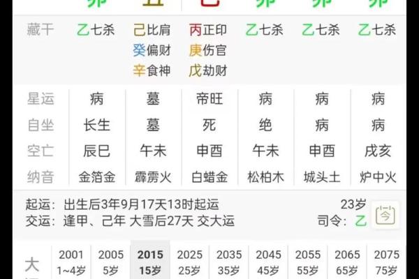 八字排盘软件排行