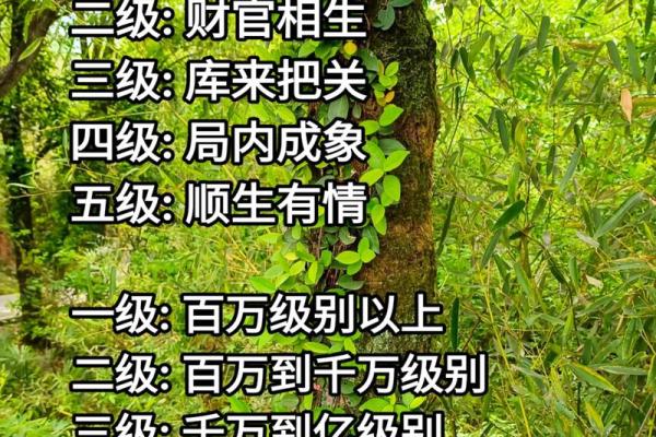 周易八字算命准吗能信吗