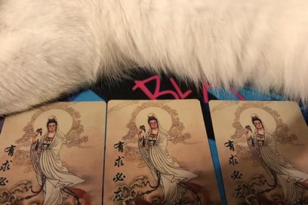 塔罗灵签