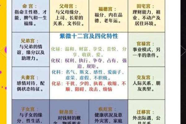 张盛舒怎么看待紫薇斗数