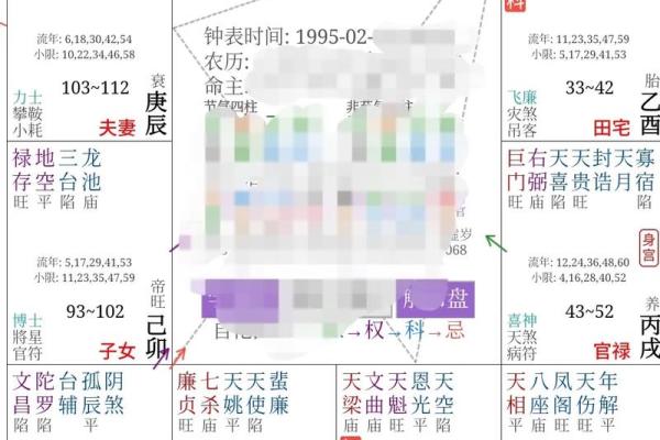 紫薇斗数算命软件