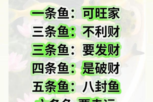办公室养鱼风水也有讲究 不注意的话就犯了大忌