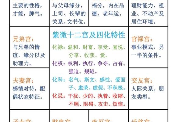 紫薇斗数解释