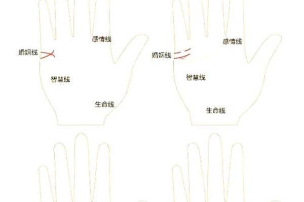 女性手掌纹算命图解婚姻