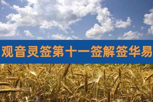 观音灵签第十一签  观音灵签解签11