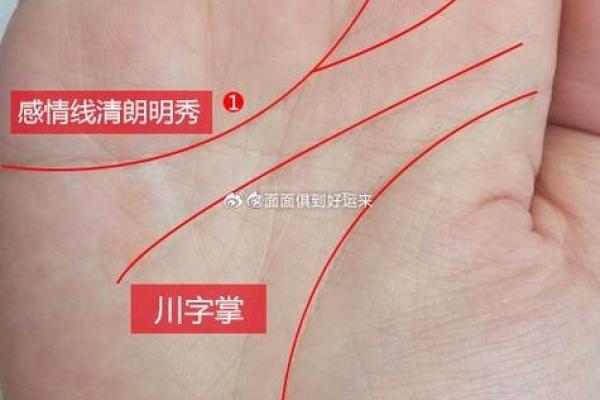 风水右手川字掌的女人命运怎么样？