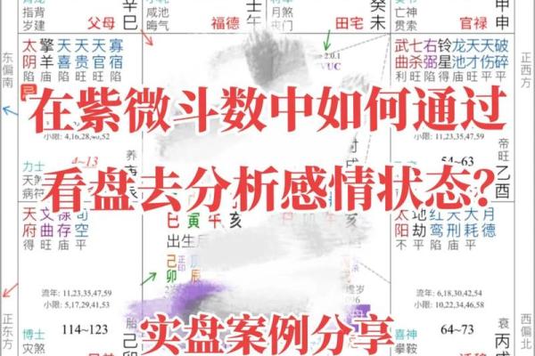 紫薇斗数多久会看盘