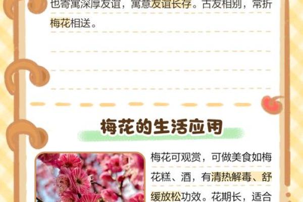 风水上家里可不可以养梅花