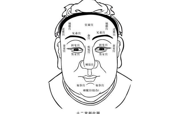 面相算命入门：三停，什么是三停？