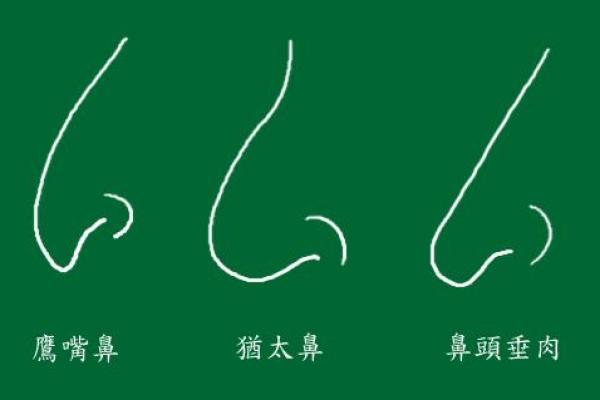 面相算命入门：三停，什么是三停？