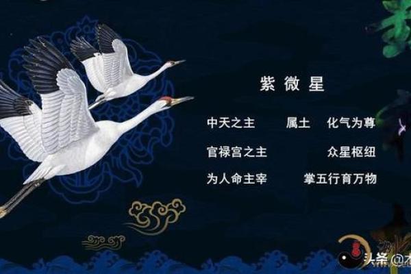 紫薇斗数庚子年