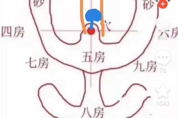 紫薇斗数青龙