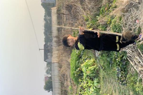 李家湾风水
