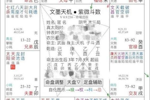 家境好的紫薇斗数