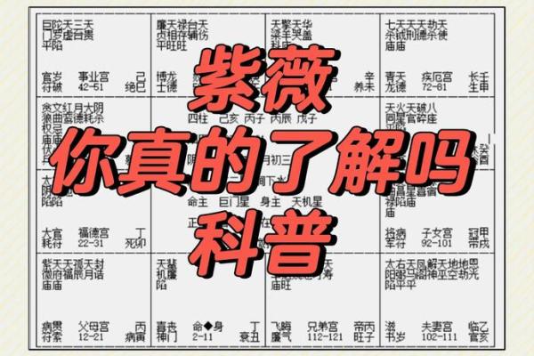 紫薇你斗数吧
