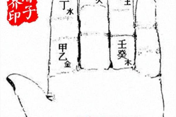 紫薇斗数掌决