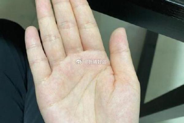 什么是八字掌,八字掌的标准手型是什么