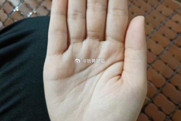什么是八字掌,八字掌的标准手型是什么