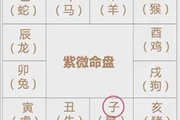紫薇斗数平是什么意思
