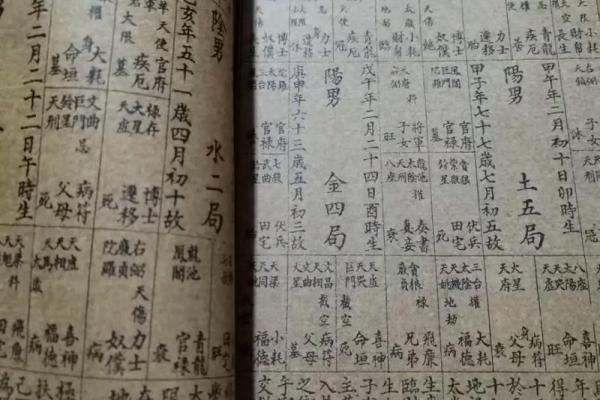 紫薇斗数流年考运