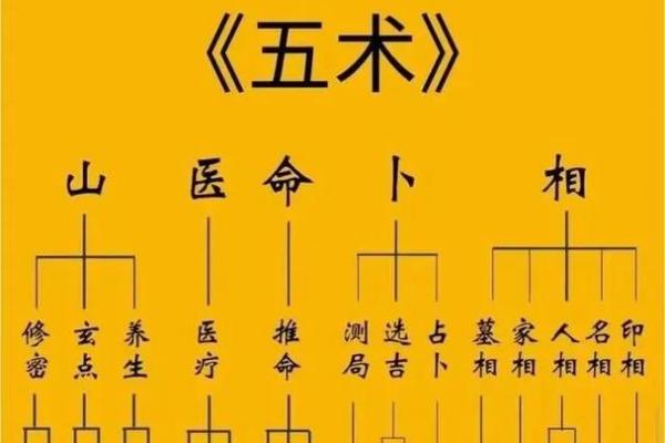 紫薇斗数作用