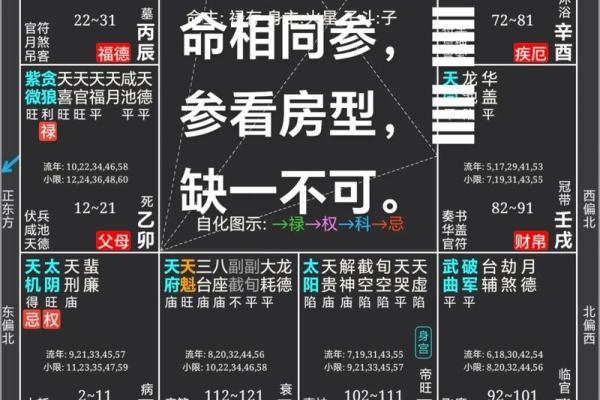 紫薇斗数作用