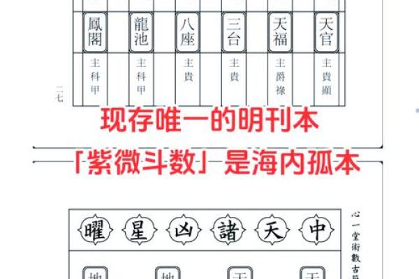 包含紫薇斗数精华论坛的词条