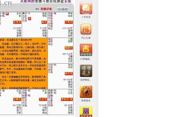 成龙紫薇斗数